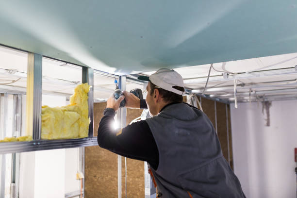 Best Insulation Installation Services in Masury, OH